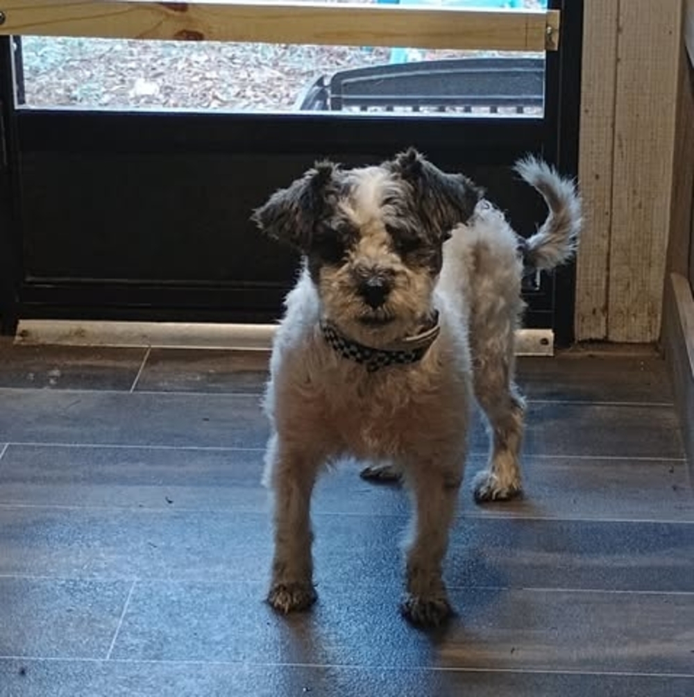 Meet your Posher, Doug